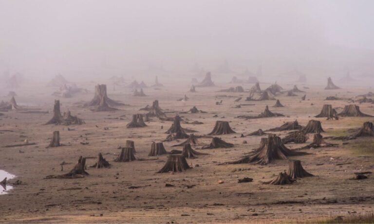 The Crumbling of Bedrock Environmental Policy: We Need to Protect NEPA