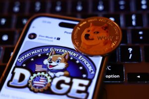 Six Ways to Understand DOGE and Predict Its Future Behavior Successfully affecting DOGE’s behavior from the outside requires understanding, at least somewhat, its goals and how it functions. This abridged history of its shifting mission doesn’t tell us where DOGE is headed, nor does it explain why it has behaved in the way it has to this point.