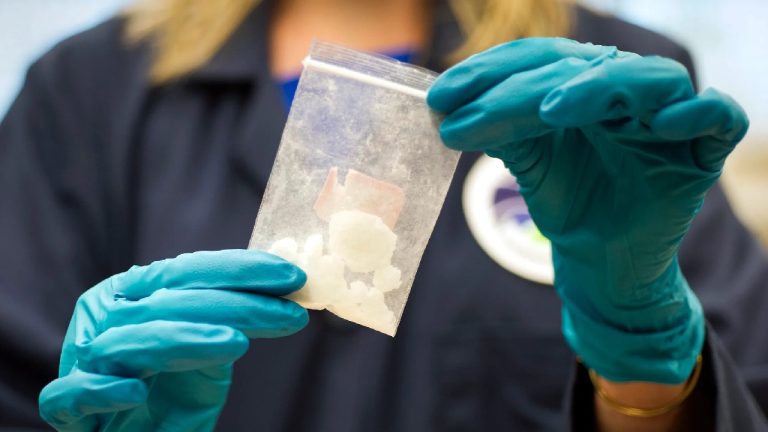 Close-up of a person in blue forensic gloves holding a small plastic bag containing white powder, symbolizing the fentanyl crisis and its WMD designation.