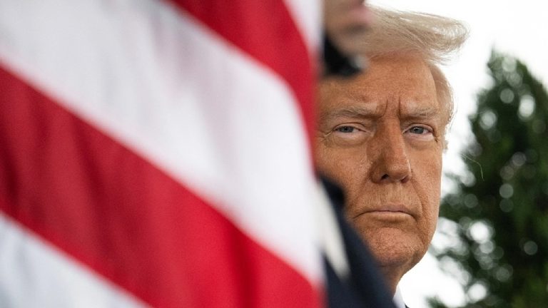 A close-up of Donald Trump's face partially framed by the stripes of the American flag.