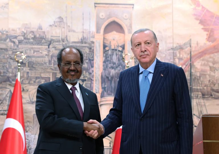 Recep Tayyip Erdoğan shaking hands with Hassan Sheikh Mohamud in front of a historical mural.