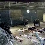 Surveillance footage showing detainees lying on the ground inside a secured facility.