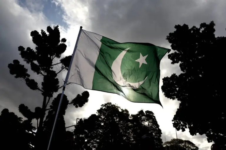 Flag of Pakistan waving on a flagpole against a cloudy sky surrounded by silhouetted trees.