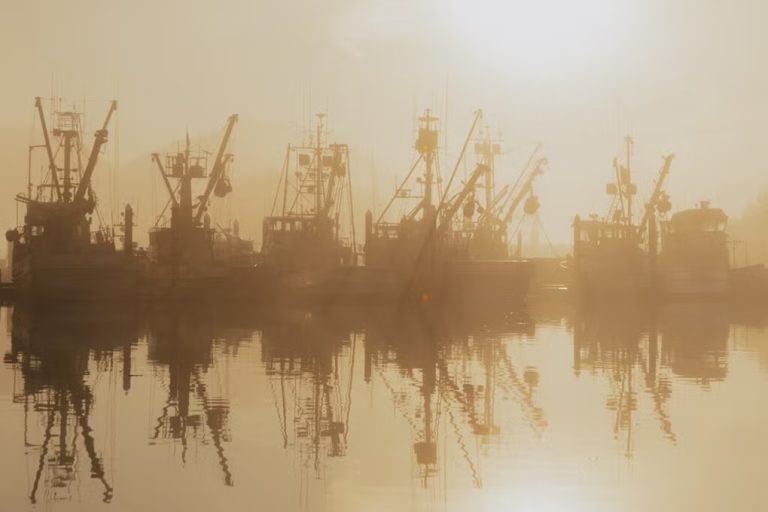 Commercial fishing boats docked in calm water shrouded in heavy golden mist.