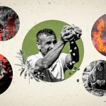 Photo collage showing a Palestinian farmer holding olives, flanked by scenes of olive grove fires and unrest.