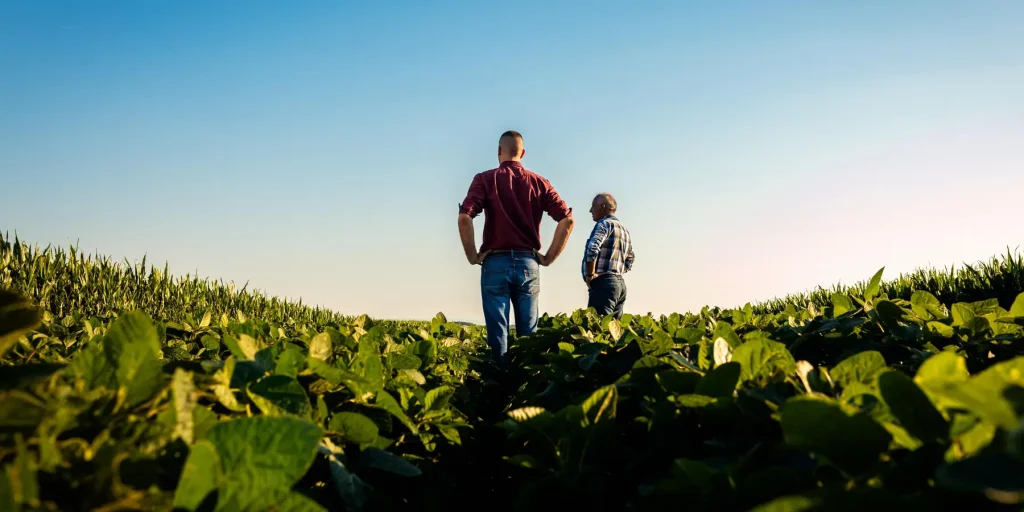 Two farmers standing in a soybean field with their hands on their hips looking out under a clear blue sky